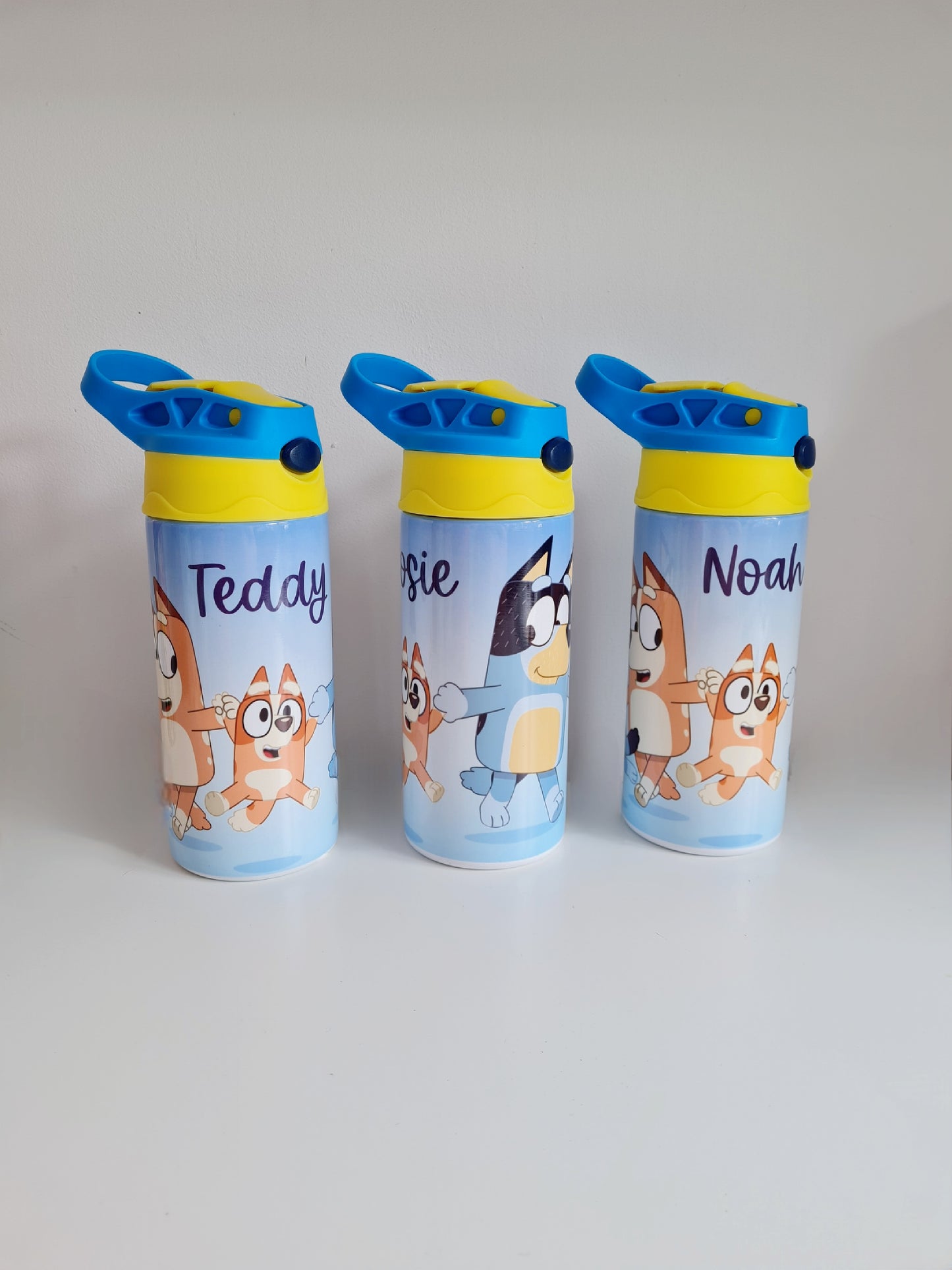 Kids water bottle- NEW DESIGN REQUESTS ONLY - Metal water bottle