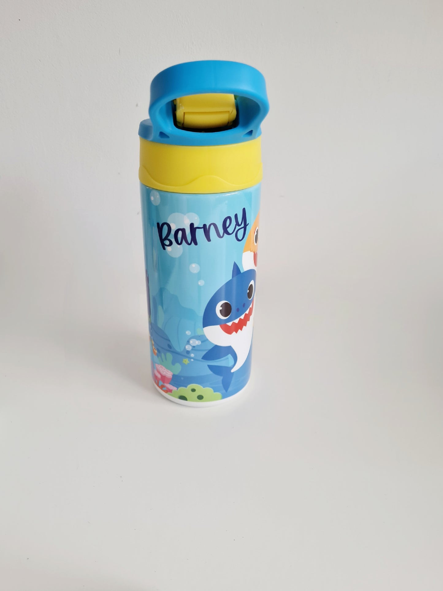 Kids water bottle- NEW DESIGN REQUESTS ONLY - Metal water bottle