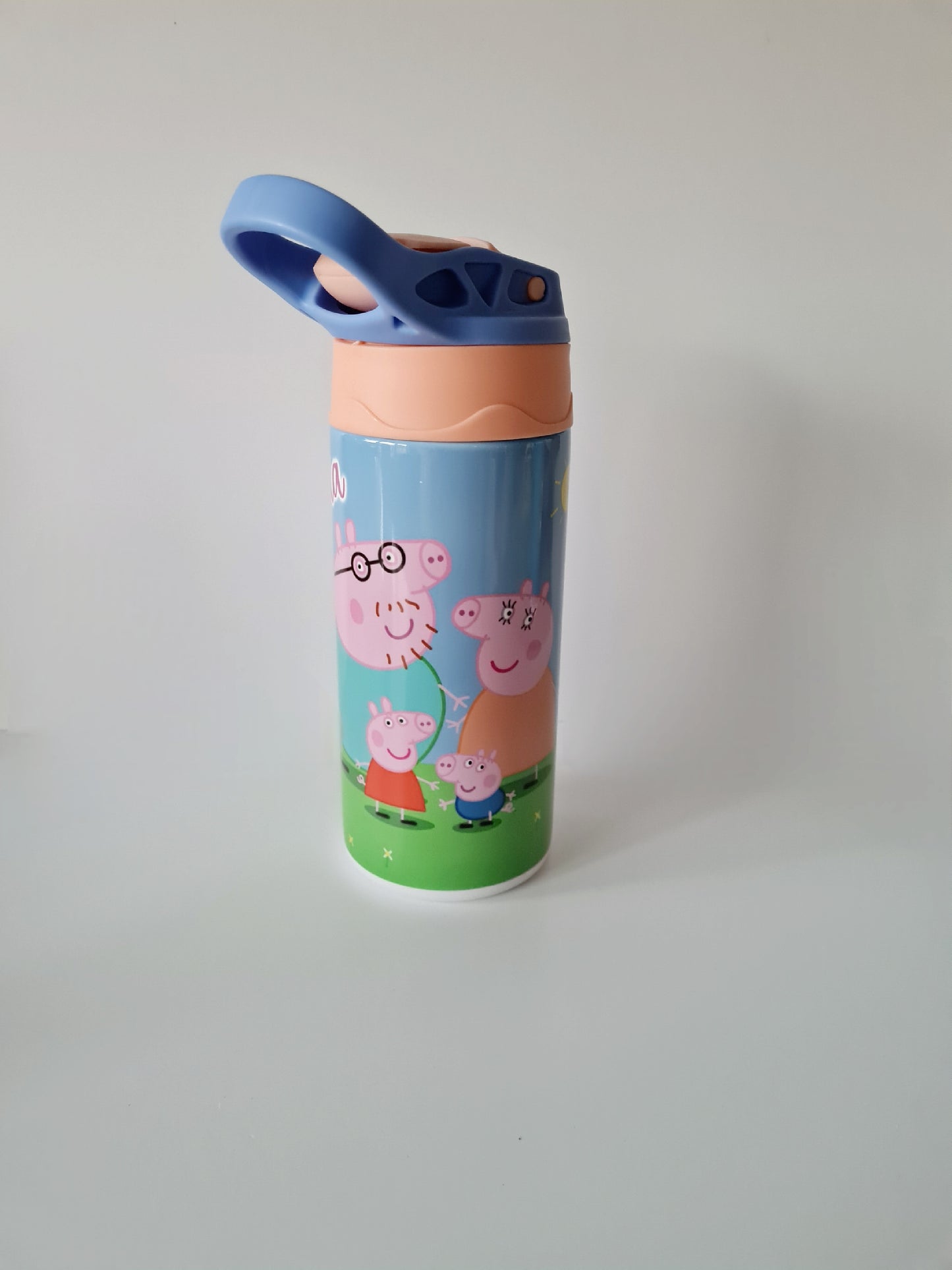 Kids water bottle- NEW DESIGN REQUESTS ONLY - Metal water bottle