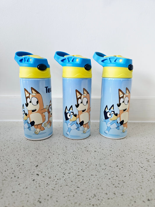 Personalised Water Bottle, Metal Kids Bottle, ALL CURRENT DESIGNS