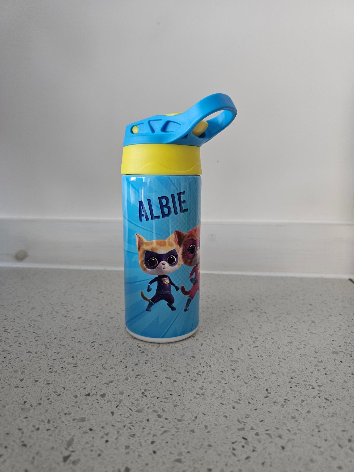 Personalised Water Bottle, Metal Kids Bottle, ALL CURRENT DESIGNS